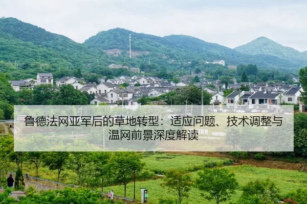 lu-de-fa-wang-ya-jun-hou-de-cao-di-zhuan-xing-shi-ying-wen-ti-ji-shu-tiao-zheng-yu-wen-wang-qian-jing-shen-du-jie-du-2-276.jpg